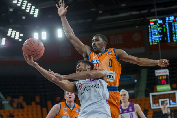 霍伊伦的职 霍伊伦的职